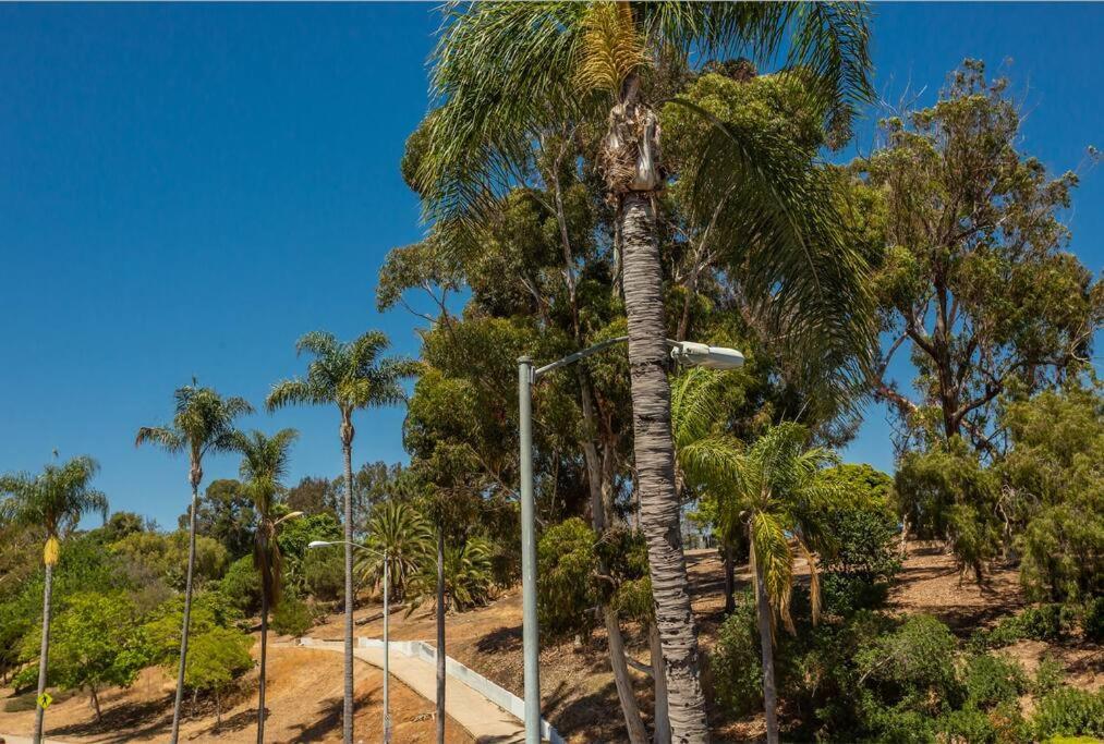 Cozy Studio Next To San Diego Dt And Balboa Park Extérieur photo